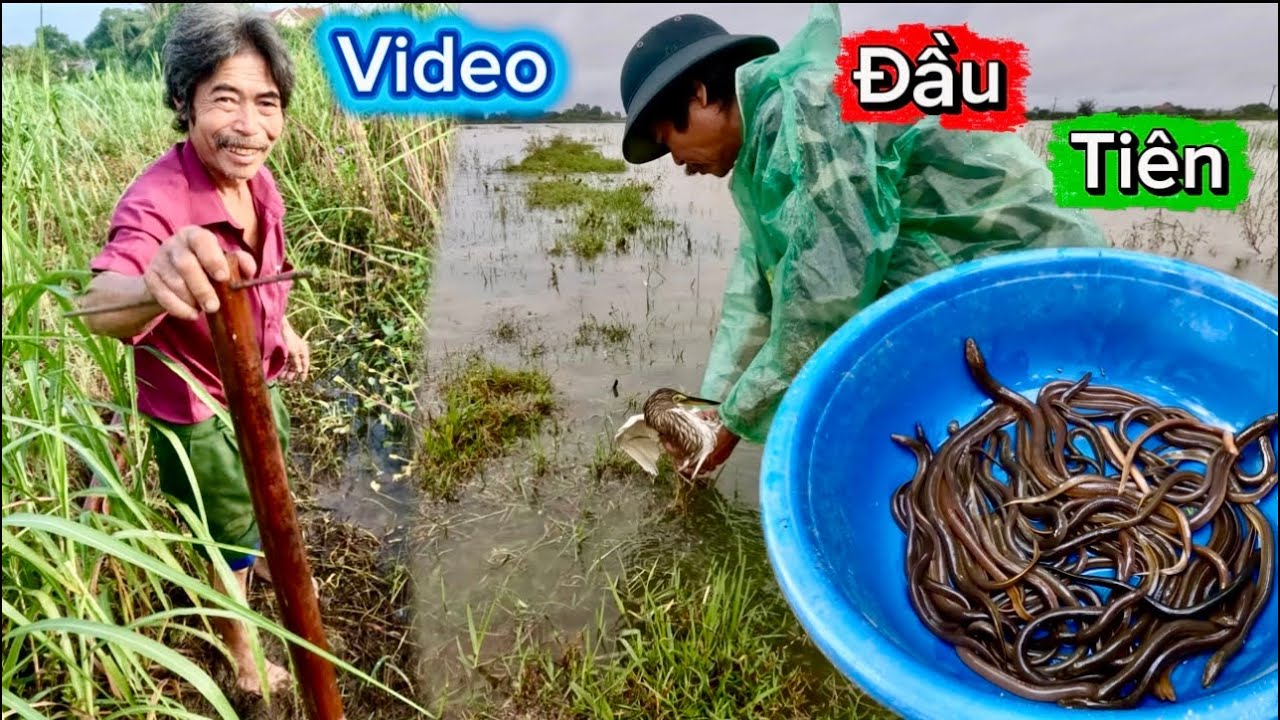 Đây Là Video Đầu Tiên Quay Cùng Bác Thông Và Lần Đầu Cùng Bác Đi Đánh Lươn