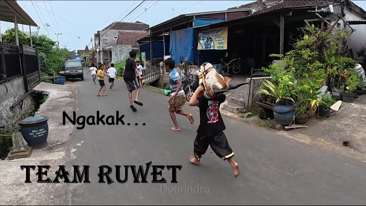 Mbolang bareng bantengan Team Ruwet kalap full mberot