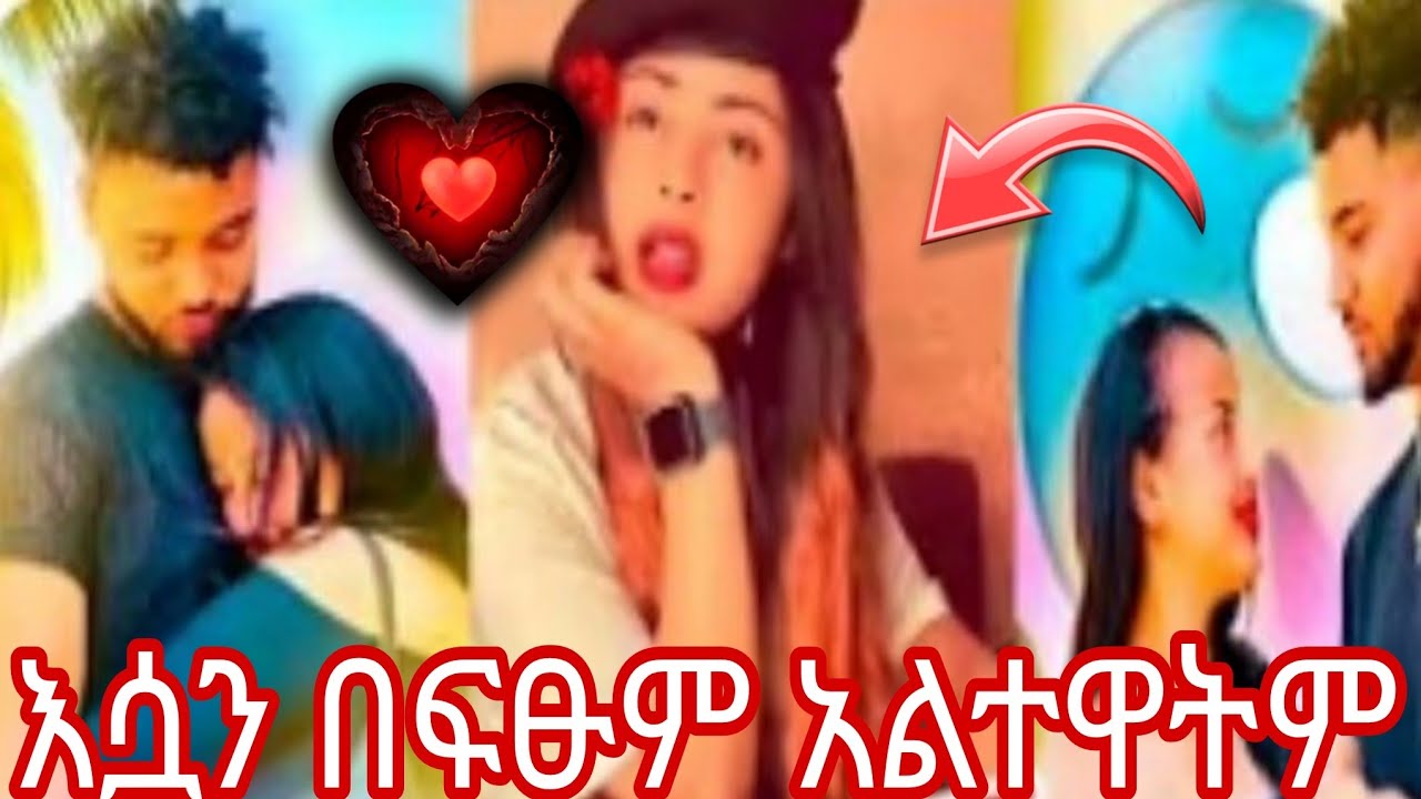 እሷን በፍፁም አልተዋትም