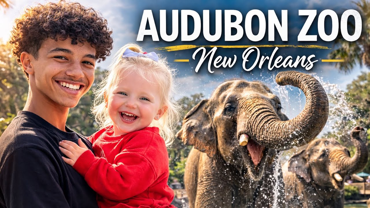 Audubon Zoo New Orleans | A Perfect Family Day in Louisiana