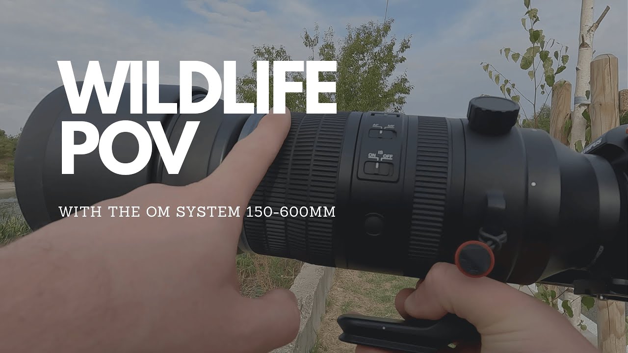 Вид от первого лица – Фотосъемка природы с помощью объектива OM SYSTEM 150-600 мм