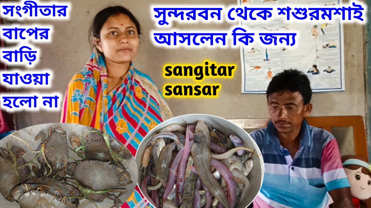 সংগীতার বাপের বাড়ি যাওয়া হলো না,সুন্দরবন থেকে শশুরমশাই আসলেন কি জন্য? Sangitar sansar 