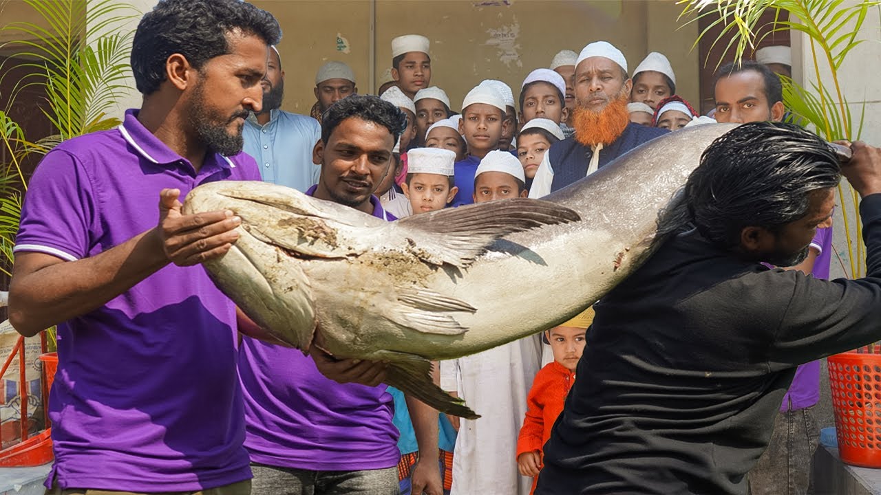 ৩৫ কেজি মাছ রান্না মাদ্রাসার ছাত্রদের জন্য  - এতো বড় মাছ দেখে সবাই অবাক - 35 KG Giant Snakehead Fish