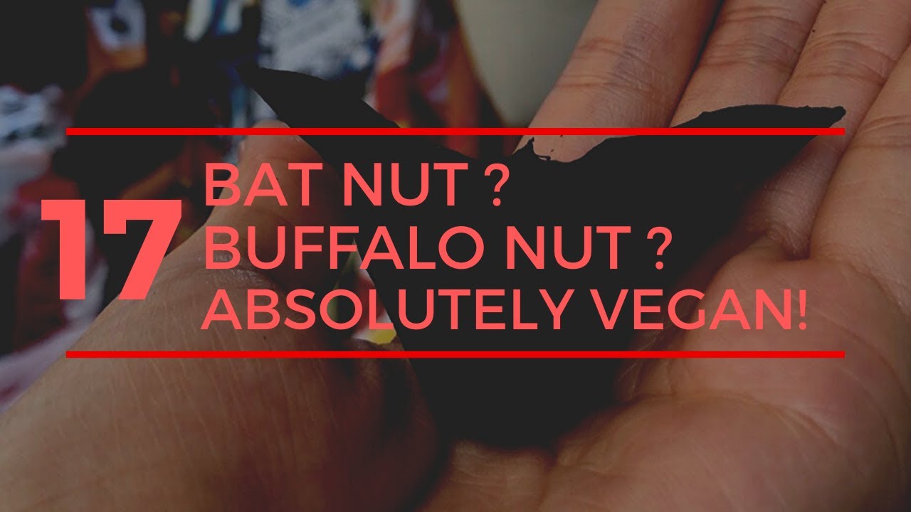 Bat Nut Buffalo Nut Absolutely Vegan