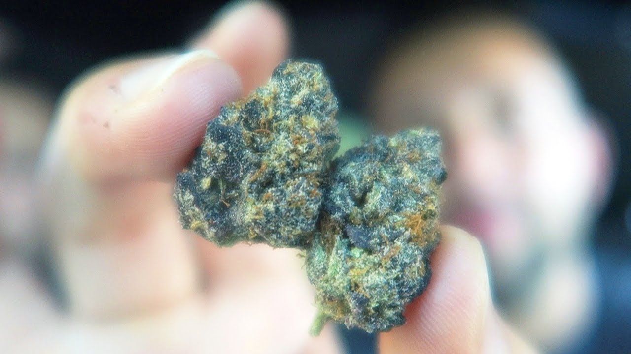 COOKIES & CREAM BLUNT SESH!!!