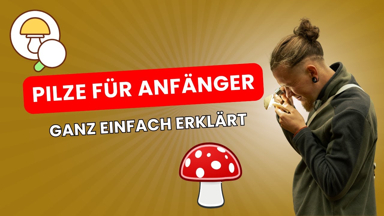 Pilze erkennen leicht gemacht – Einstieg in die Pilzwelt 🍄 #pilze #mushroom #natur #wald
