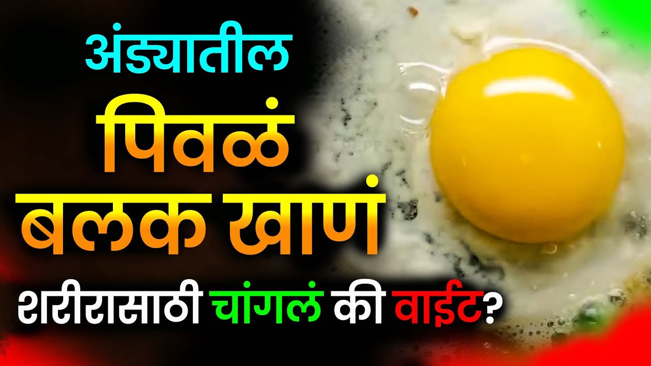 Egg Yolk: Good or Bad for You? : अंड्यातील पिवळं बलक खाणं शरीरासाठी चांगलं की वाईट?