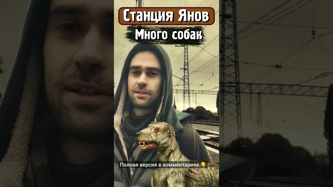 Станция Янов - Много собак!