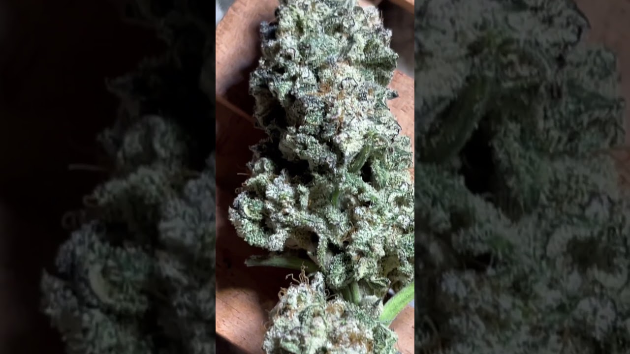 Grape Rock Candy x Banana Butter Cup