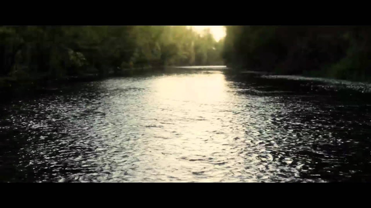 Said The Whale - 