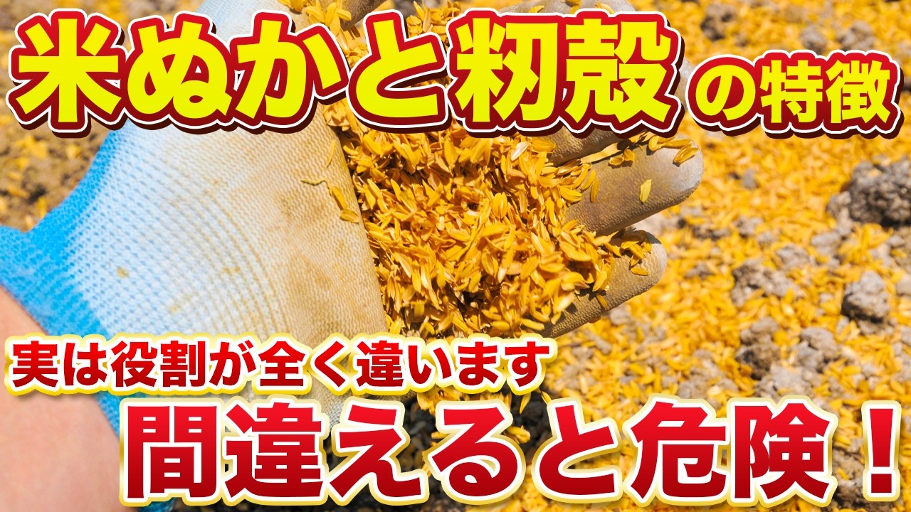 【米ぬかと籾殻】家庭菜園でよくある大間違い…米ぬかと籾殻の本当の使い方！土づくりの結果が変わる重要ポイント！