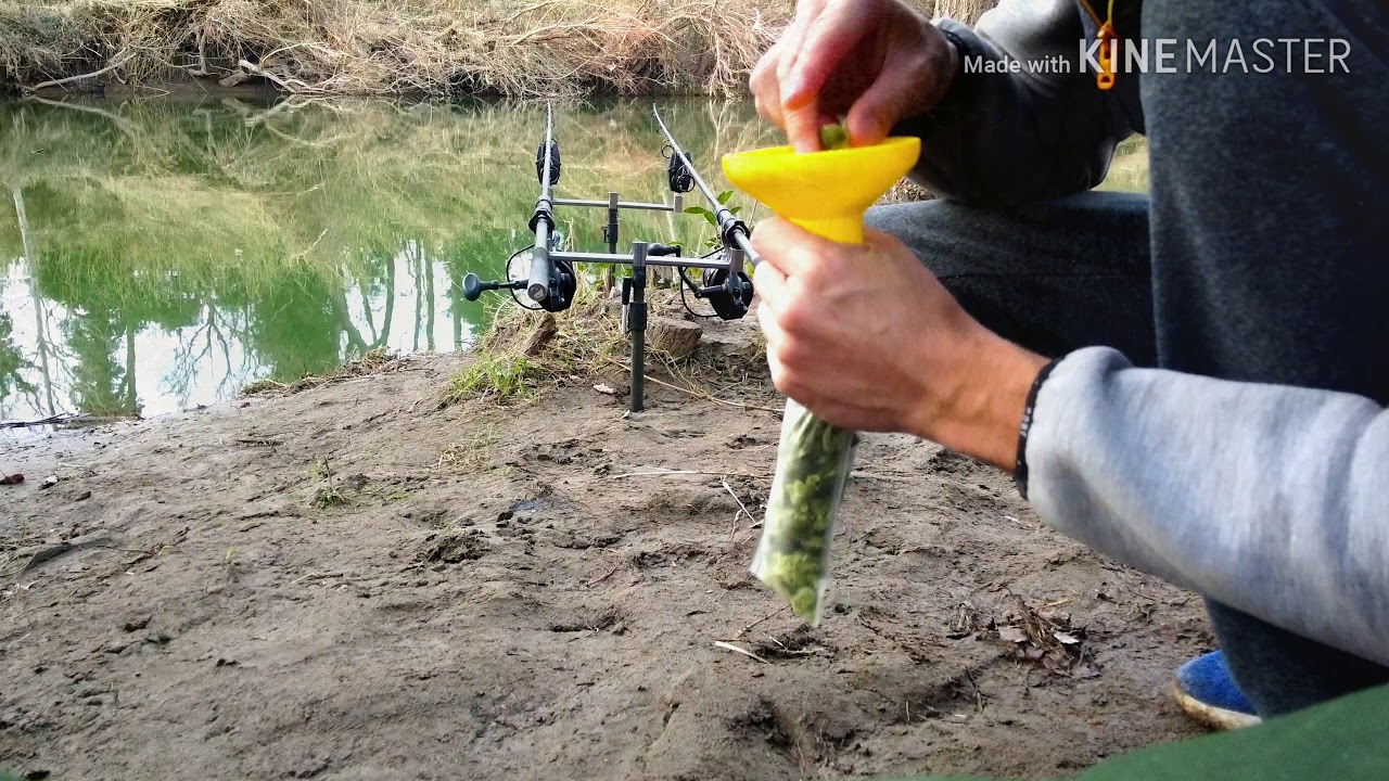💥💥💥 River sessions sauvage!!💥💥💥
