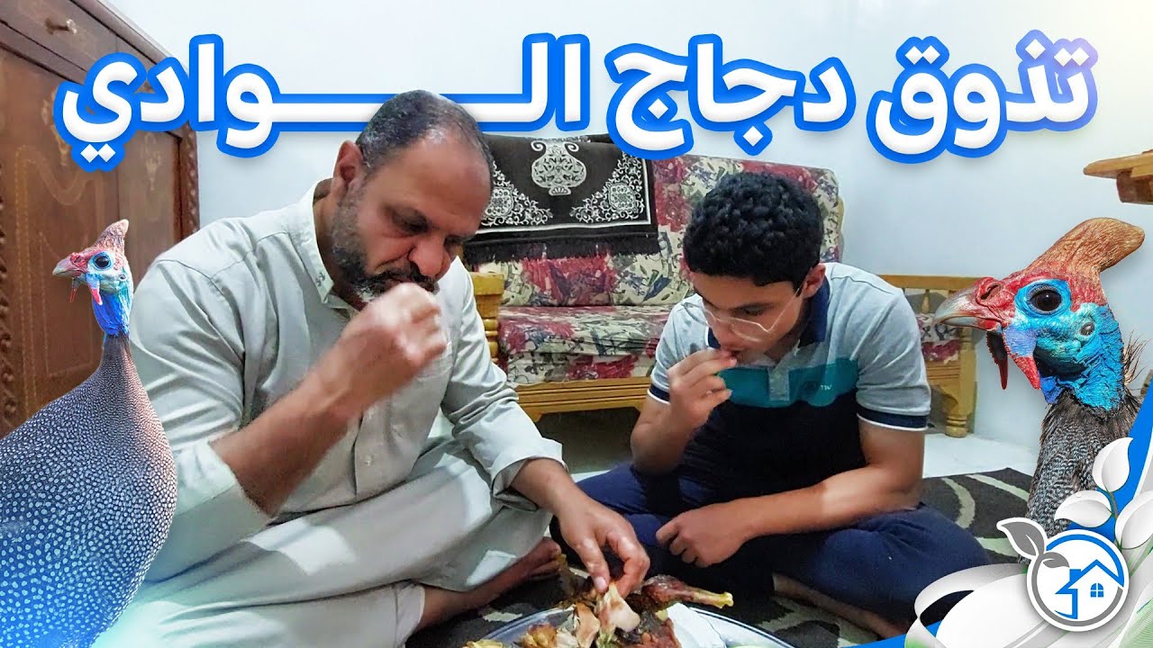 تذوق لحم دجاج الوادي  هل هو يستاهل التربية ام لا