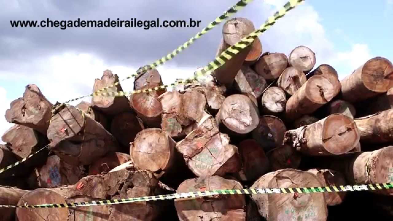 Lavando madeira para fora