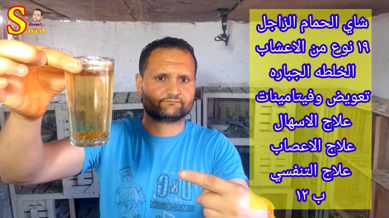 افضل ١٩ نوع من الأعشاب لعمل شاي اعشاب الحمام الزاجل وقت الرجوع من السباق منشط طبيعي علاج كل الامراض