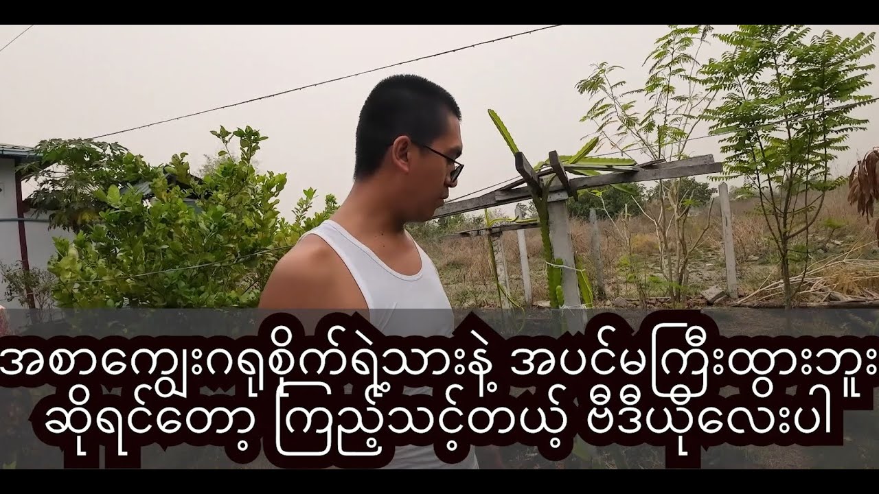 အပင်အကြောင်း တစ်စေ့တစ်စောင်း (Plants)