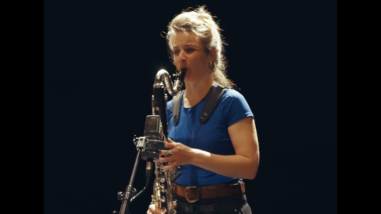 Hélène Duret Brut Ensemble - De loin en loin