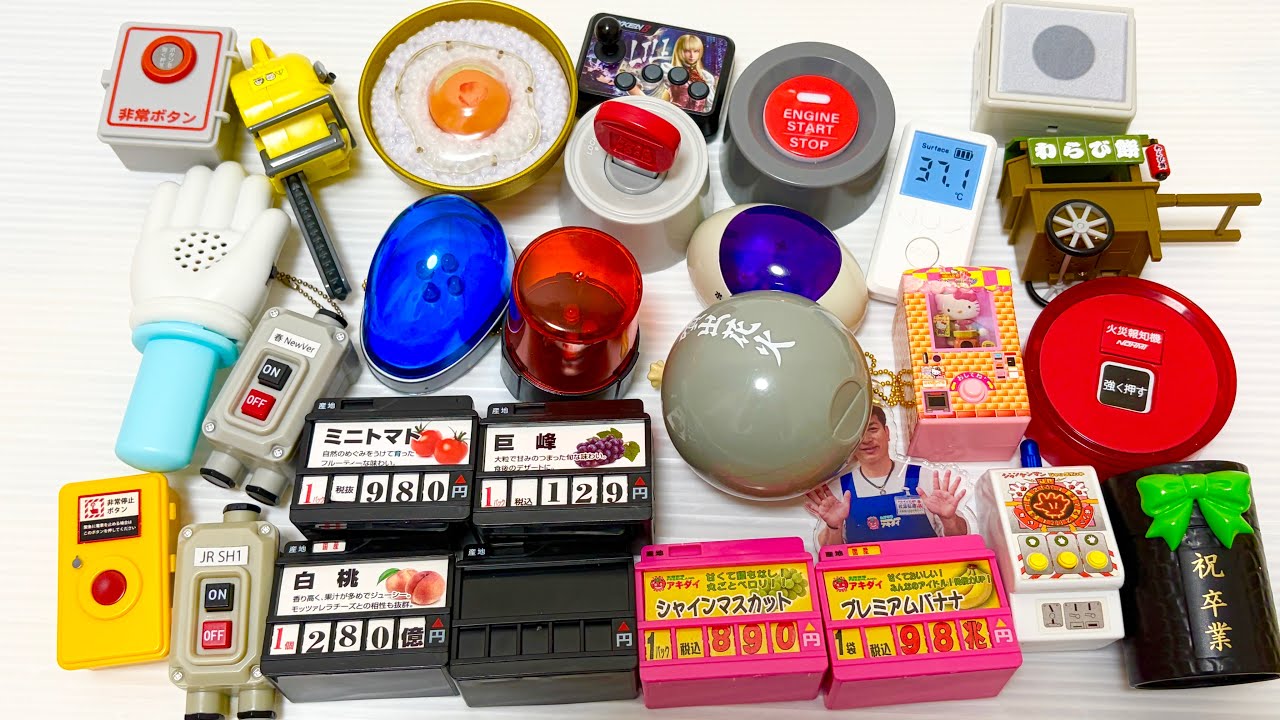 色んな音が鳴るガチャガチャを鳴らしてみた！