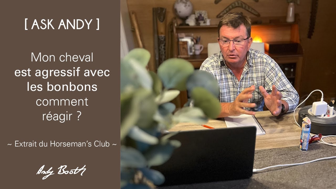 [ASK ANDY] Mon cheval est agressif avec les bonbons. Comment réagir ?