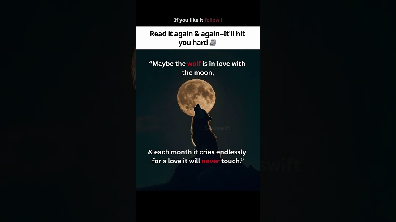 Wolf is in love with moon 