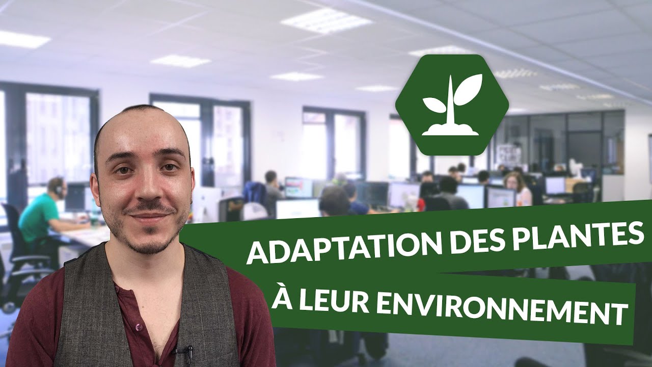 Adaptation des plantes à leur environnement - SVT - TS - digiSchool