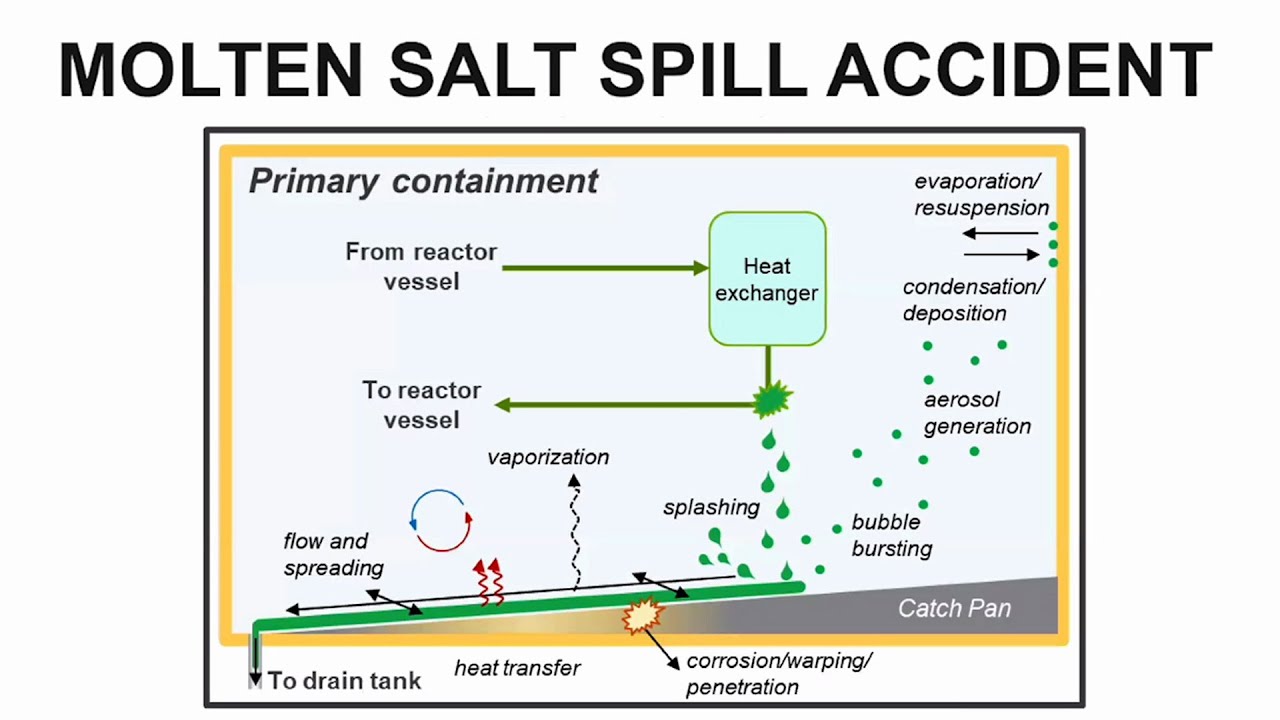 Validating Accident Progression Models for Molten-Salt Reactors - Sara Thomas @ ORNL MSRW 2022