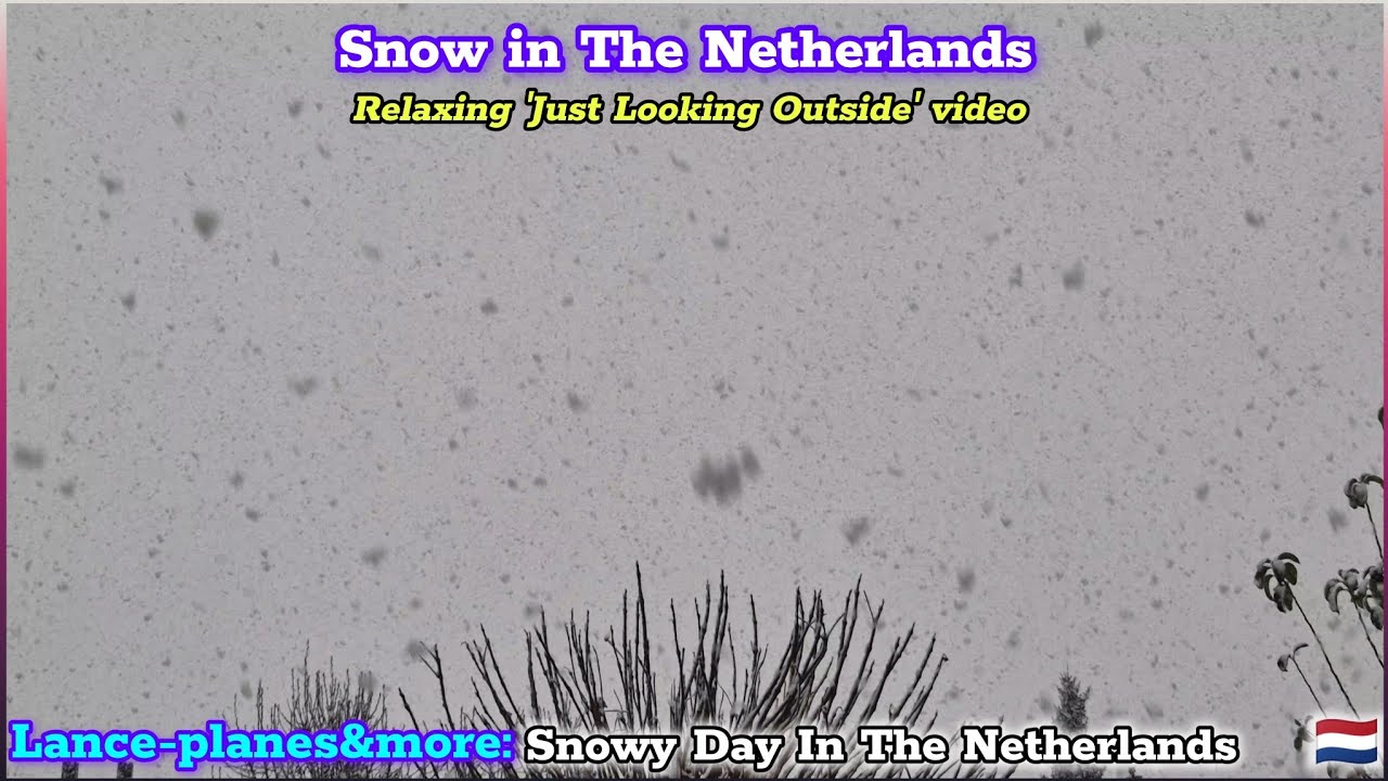 4K Snowy Day in The Netherlands. Just Looking Outside At The Snow 🇳🇱