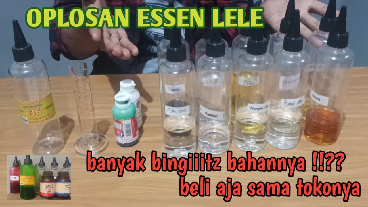 Oplosan Essen lele media alam @galatamaikanlele