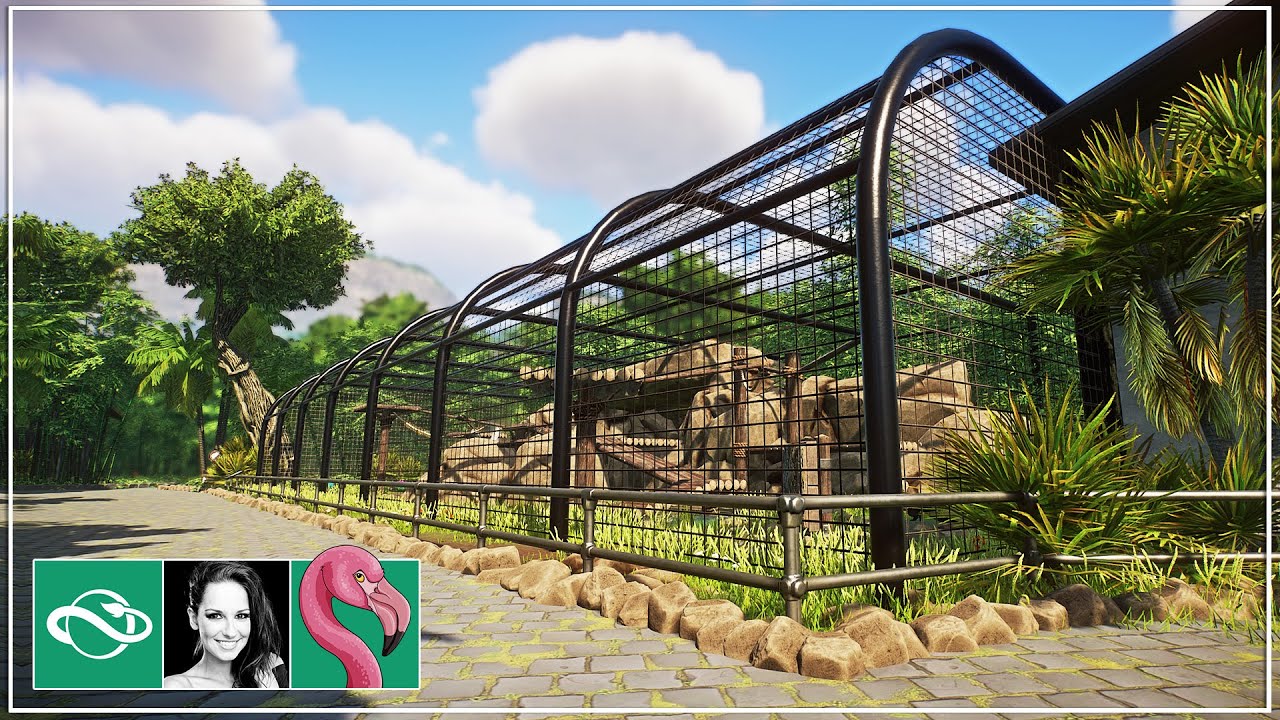 Building a Zoo Entrance, Introducing Binturongs & Installing Webcams! | Planet Zoo Gameplay