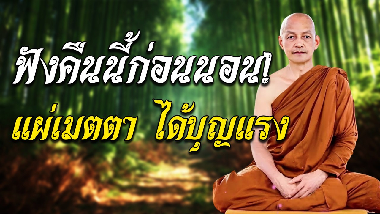 ฟังคืนนี้ก่อนนอน! แผ่เมตตา ได้บุญแรง หนุนนำชีวิต หลับลึก หลับเป็นสุข #พุทธวจน