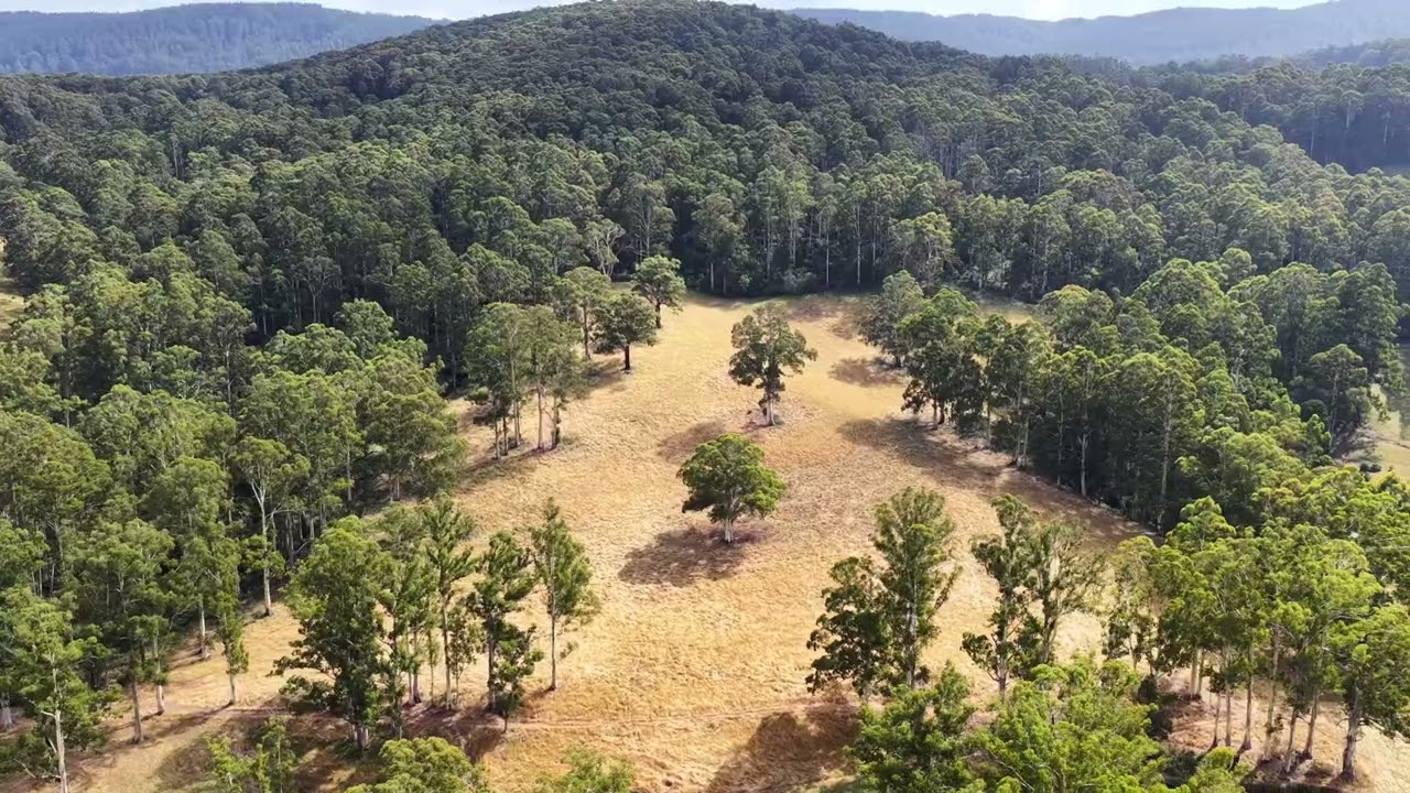 Open2view AU - ID# 993095 - 1145 Yarra Junction-noojee Road