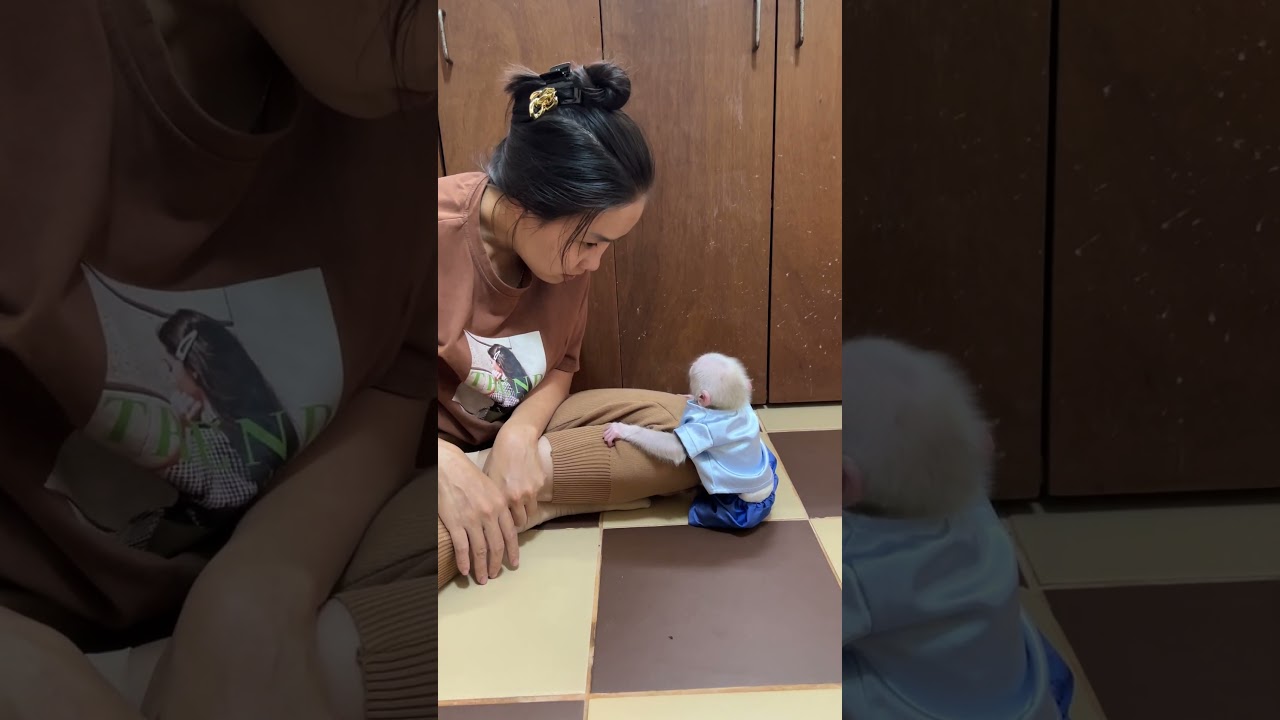 Baby PavPav Play With Mommy