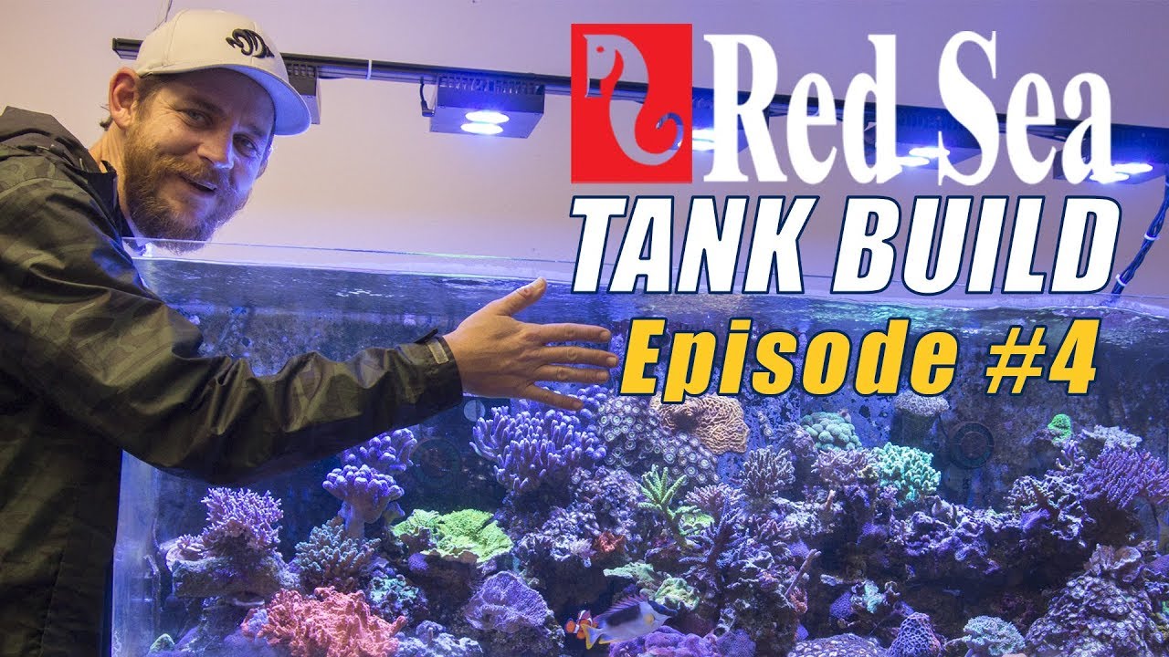 Reefer Deluxe 525 XL Tank Build #4: GHL ProfiLux 4 Controller Setup and Mounting