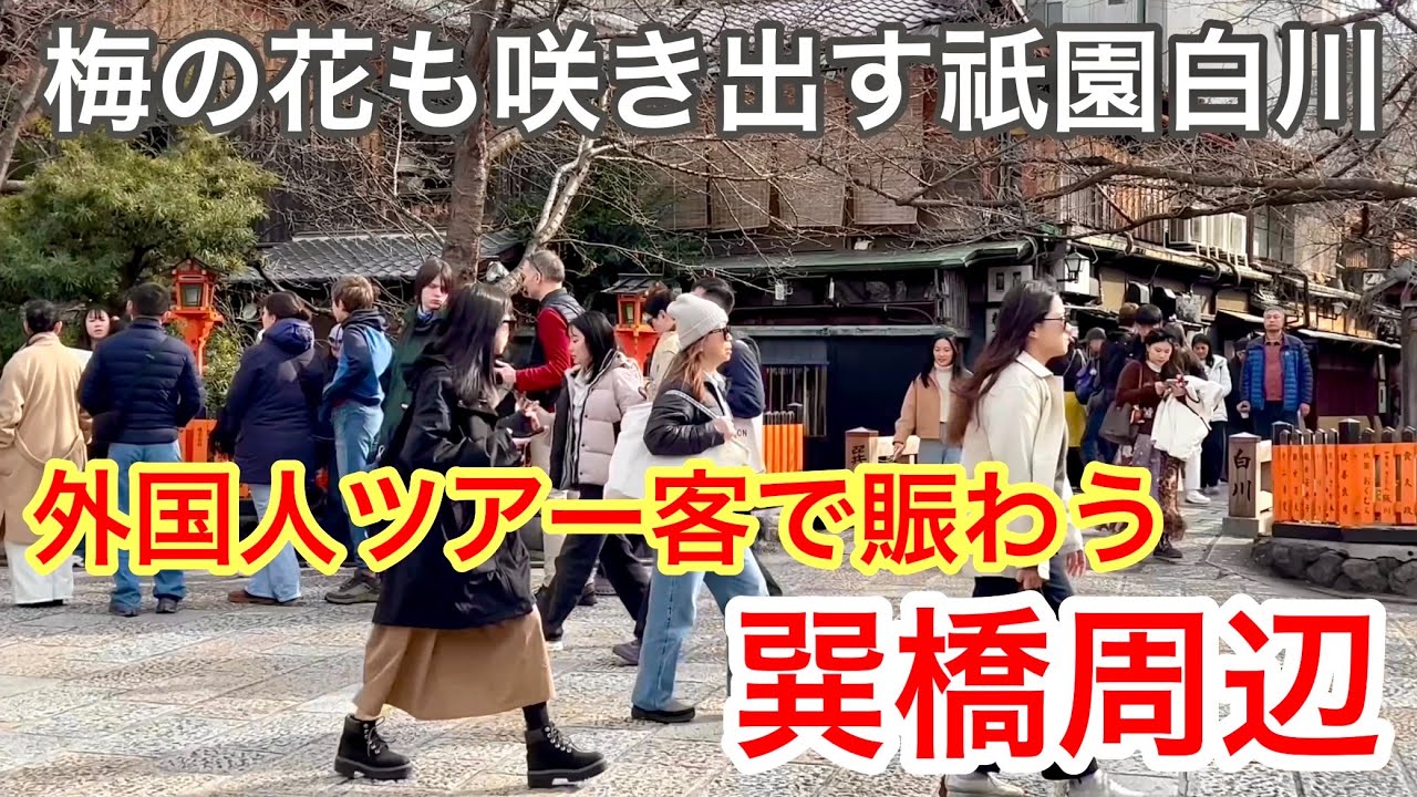 2026年2月14日 【週末の京都散策】梅の花も咲き出す祇園白川 外国人ツアー客で賑わう巽橋周辺を歩く Walking around Gion, Kyoto