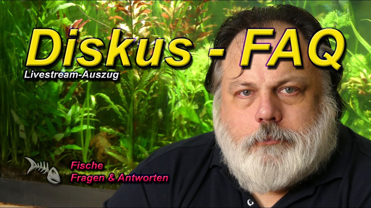 DISKUS-FAQ #1 - FILTERUNG, STRÖMUNG, STERILZUCHT und mehr rund um den Diskus im Aquarium