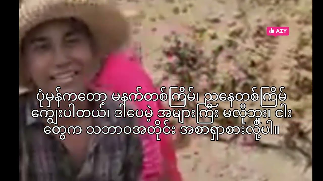 စပါးခင်းထဲမှာ ငရံမွေးမယ်