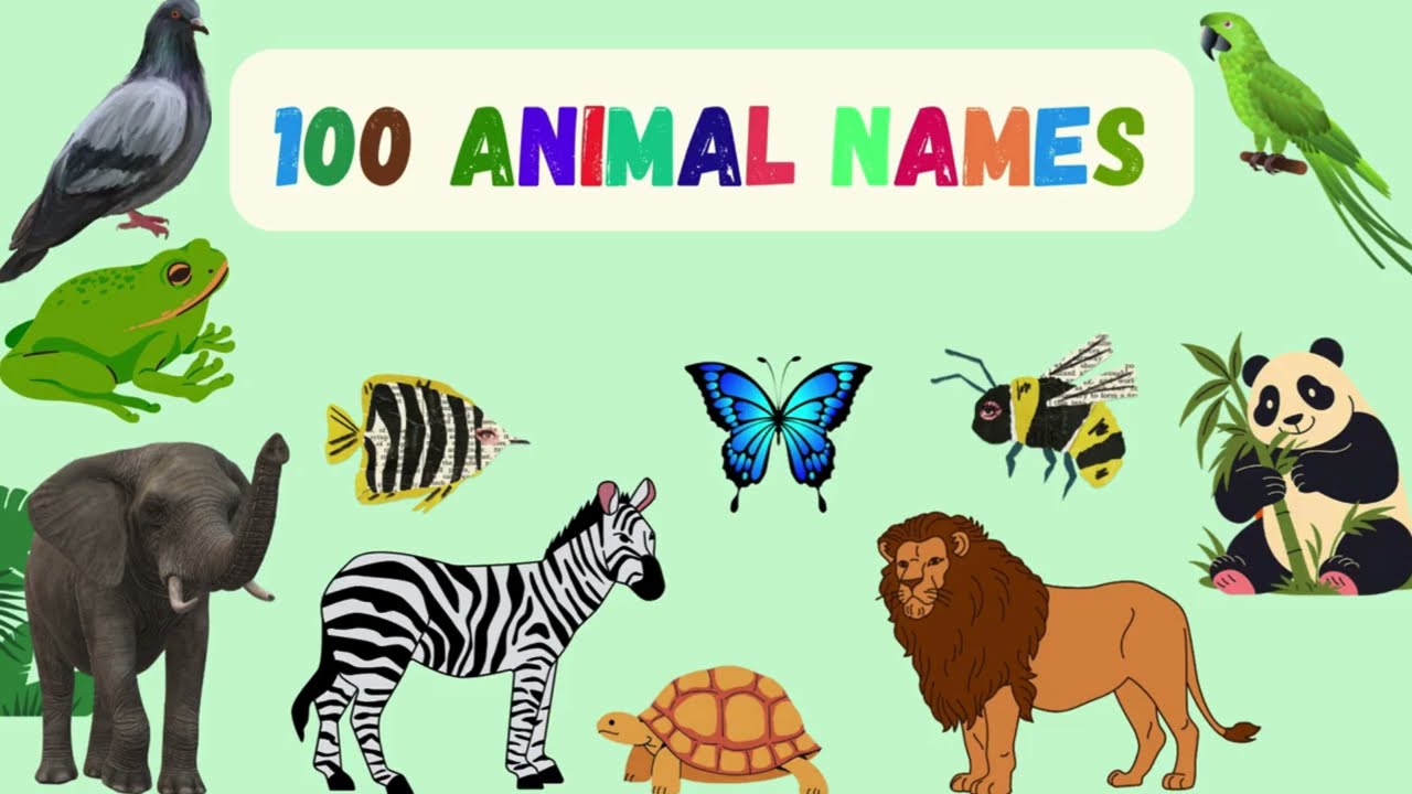 100 Amazing Animal Names for Kids
