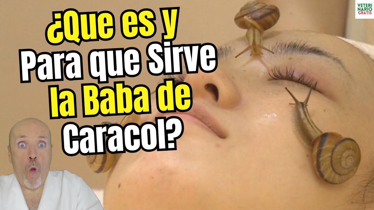 😱🐌¿QUE ES Y PARA QUE SIRVE LA BABA DE CARACOL EN LA PIEL?😱🐌