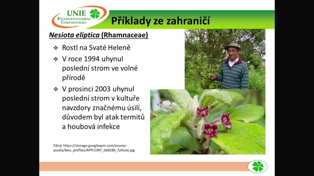Dokáží botanické zahrady zastavit vymírání ohrožených druhů?