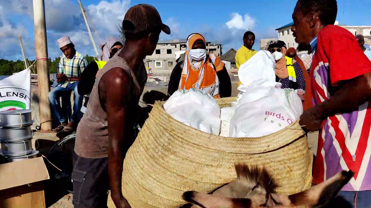 Food Distribution for Charity