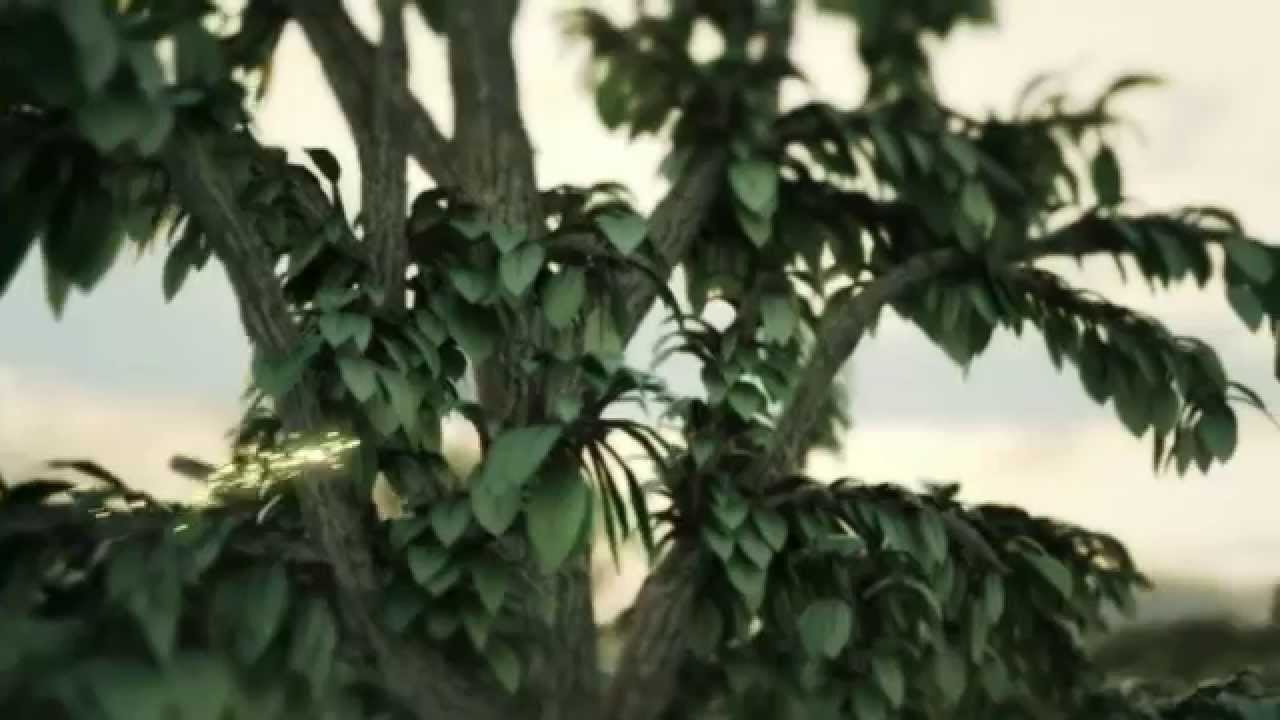 Le Biom&eacute;thane - GrDF