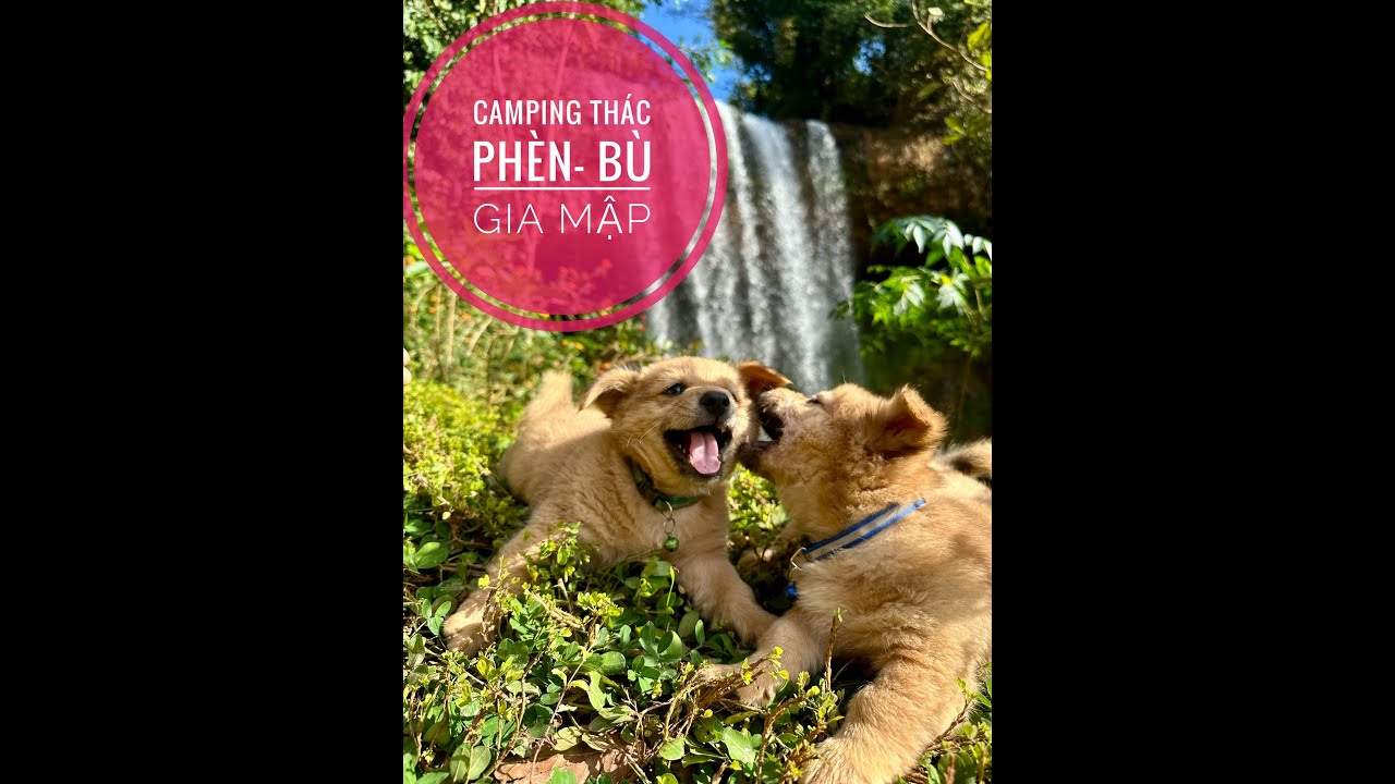 Camping th&aacute;c Ph&egrave;n- B&ugrave; Gia Mập- B&igrave;nh Phước