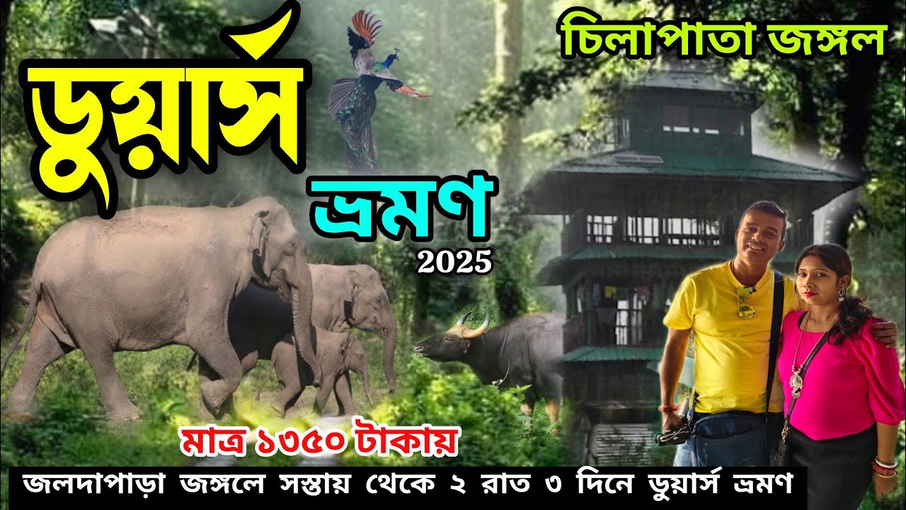 Kolkata to Dooars| Chilapata Forest| Dooars Tour |Chilapata Jungle Safari|Hollong Eco Village Resort