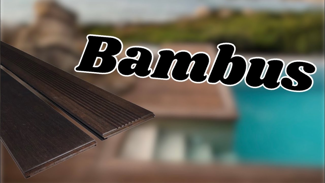 Bambus