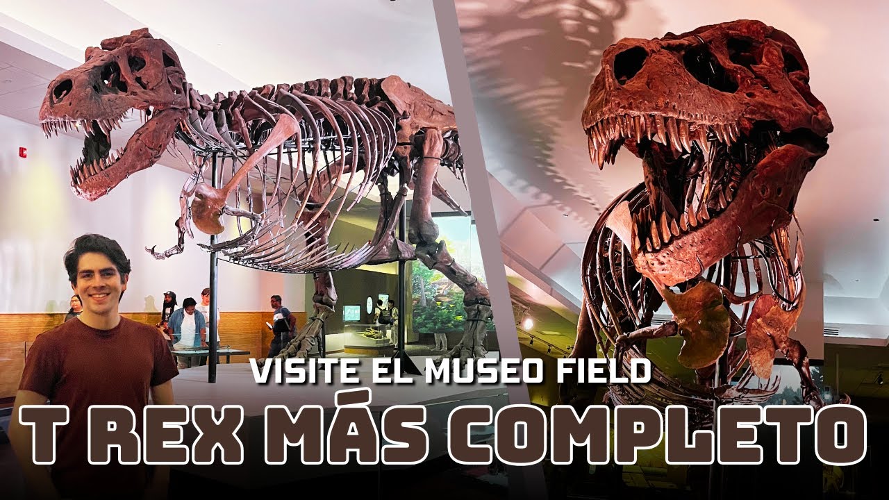 Conocí al T. rex más completo del mundo 🦖 | Mi visita al Field Museum