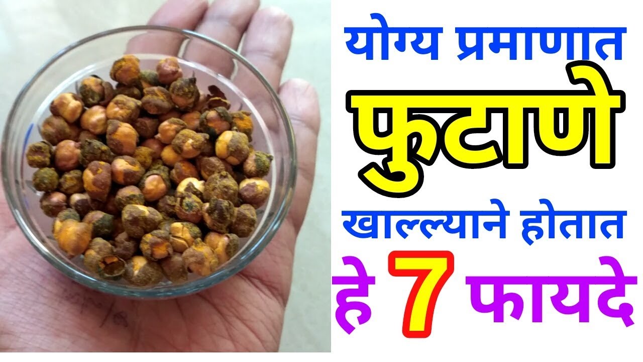 योग्य प्रमाणात फुटाणे खाल्ल्याने होतात हे 7 मोठे फायदे व्हिडीओ नक्की पहा
