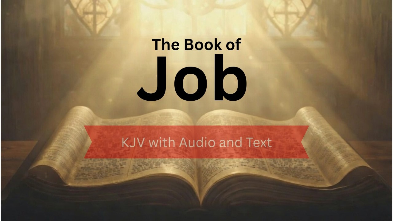 The Book of Job