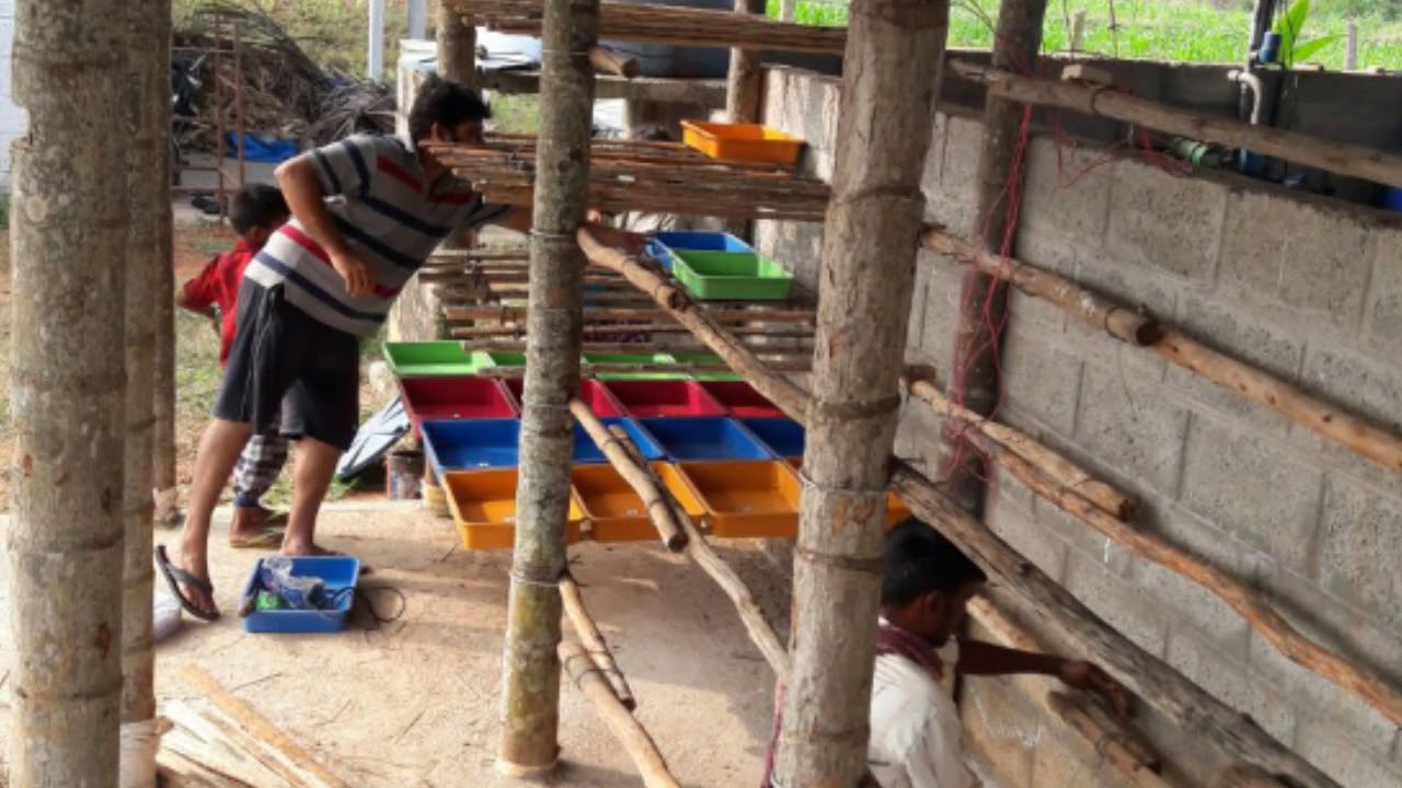 Making of Hydroponics fodder system.