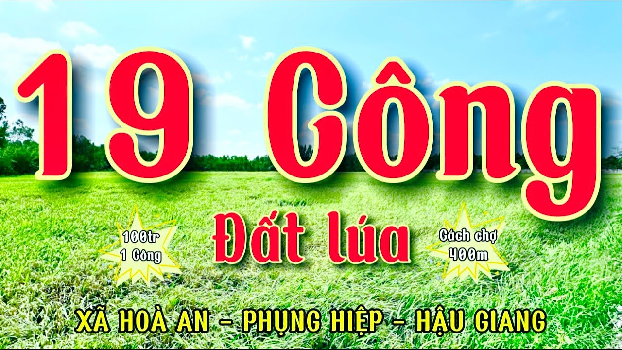 Bán 19 công đất lúa thuộc xã hoà an, huyện phụng hiệp, hậu giang