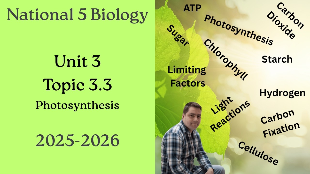 National 5 Biology: 3.3 Photosynthesis - Full Lesson